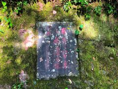 -雁荡山风景名胜区-小龙湫