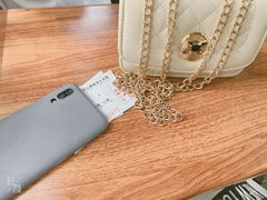 -合肥滨湖国家森林公园