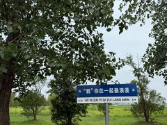 -盐城丹顶鹤湿地生态旅游区