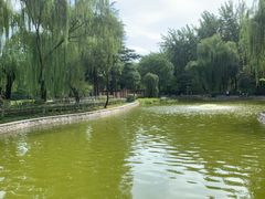 -西安市长乐公园