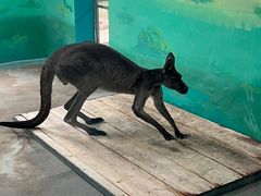 -荆州中山公园动物园