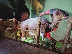 -恐龙探索乐园(磁器口店)