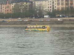 -多瑙河游船