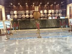 -剑河仰阿莎温泉小镇