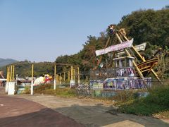 -田野绿世界