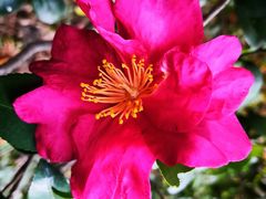 -苏州河梦清园环保主题公园