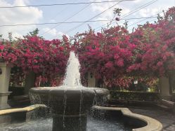 点击看大图 -重庆安琪儿妇产医院-妇幼保健联盟医院