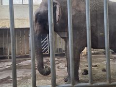 -石家庄市动物园