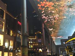 -海盗虾饭·剥好的小龙虾饭(SOHO尚都店)