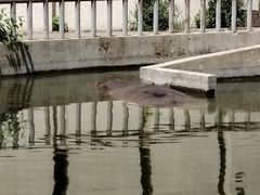 -北京动物园