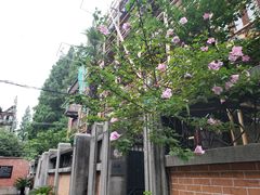 -万寿斋(山阴路店)