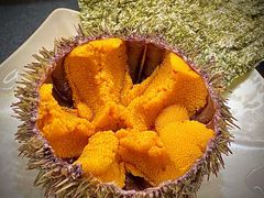 活马粪海胆-Sushi Hanzo半藏(天环广场店)