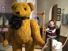 -济州岛泰迪熊博物馆