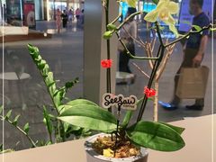 -Seesaw Coffee(苏州中心店)