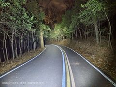-南京老山国家森林公园
