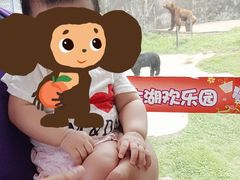 -无锡动物园·太湖欢乐园