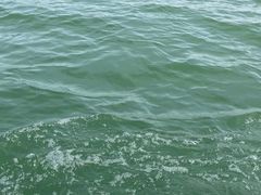 -南湾湖