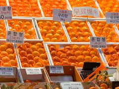 -西归浦每天偶来市场