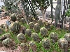 -郑州植物园
