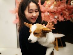 -浣熊柯尔鸭土拨鼠·电玩咖