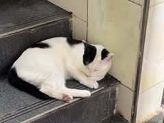 -刘信牛羊肉泡馍小炒(回民街店)