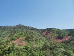 -木兰云雾山