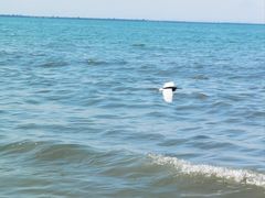 -西秀海滩公园