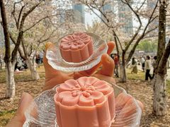 -珈境湖畔餐厅·湖北菜·江浙菜•樱花季(西北湖店)