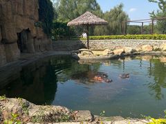 -沈阳森林动物园