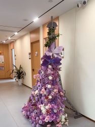 -上海伊莱美医疗美容医院
