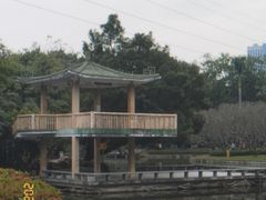 -晓港公园