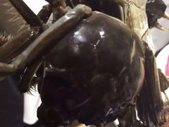 -星伦多自助料理(花山金鹰店)