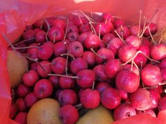-蓟县沐风庄园精品民宿农家院(梨木台店)