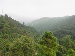 -安吉涵田度假村·水榭居中餐厅