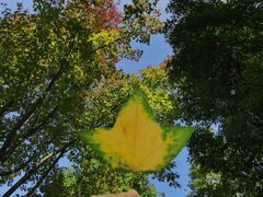 -成都中医药大学(温江校区)