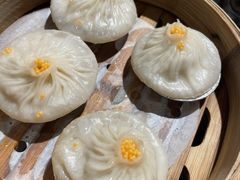 -点都德·毕德寮