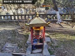 -罗布林卡