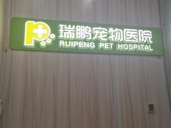-瑞鹏宠物医院·微创内窥镜·骨外科·牙科(翠竹分院)