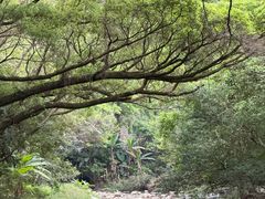 -广州市石门国家森林公园