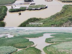 -哈素海