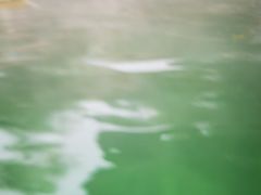 -花水湾第一村温泉大酒店