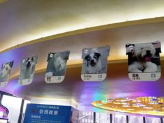 -卢米埃影城(合生广场IMAX店)