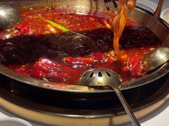 -二荆条·城市森林火锅旗舰店
