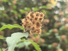 -天津外国语大学（马场道校区）食堂