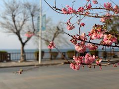 -水上人家民俗餐厅(洱海公园店)