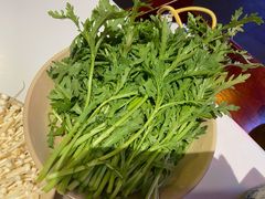 茼蒿-卤校长重庆火锅(国兴店)