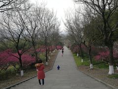 -金钉子远古世界景区