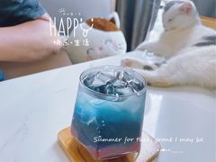 -喵园·猫主题咖啡厅·撸猫·猫咖(国贸店)