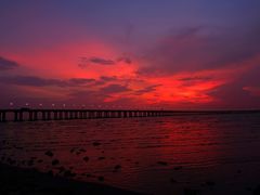 -宝安西湾红树林湿地公园