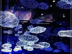 -盒马X会员店(上海森兰商都店)